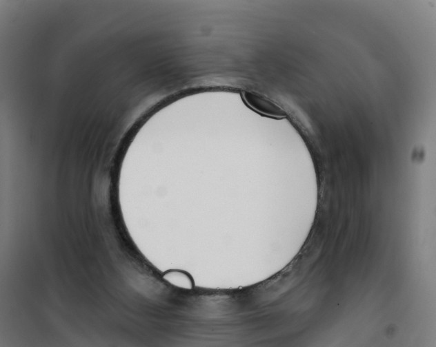 X0000100360108200807031847