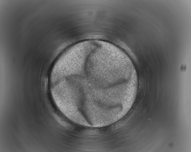 X0000100360110200807031847