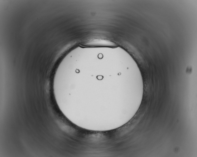 X0000100360112200807031847