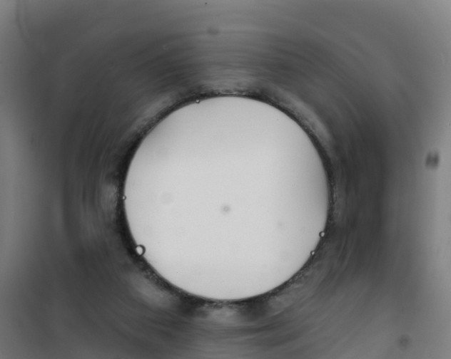 X0000100360113200807031847