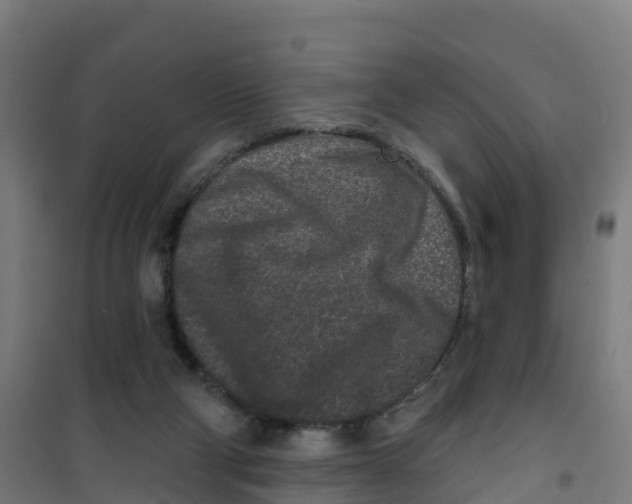 X0000100360114200807031847