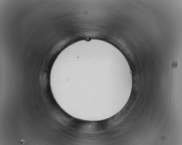 X0000100360116200807031847
