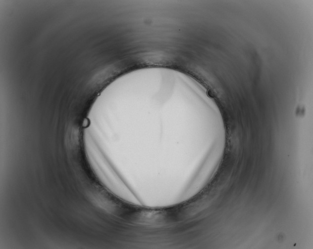 X0000100360117200807031847