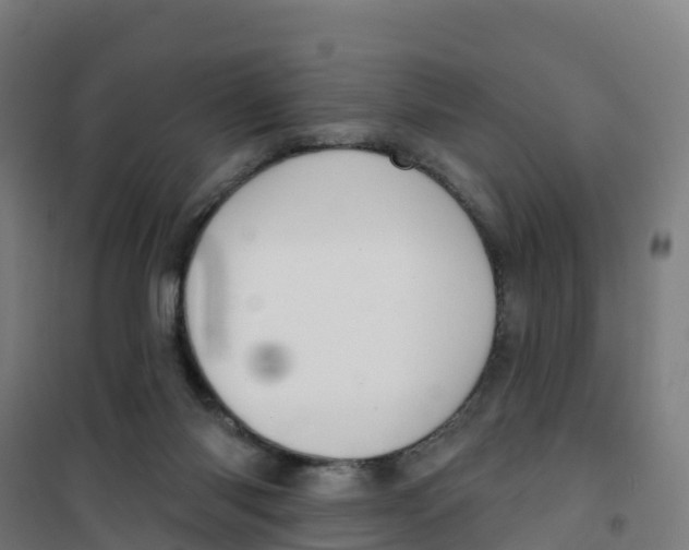 X0000100360118200807031847
