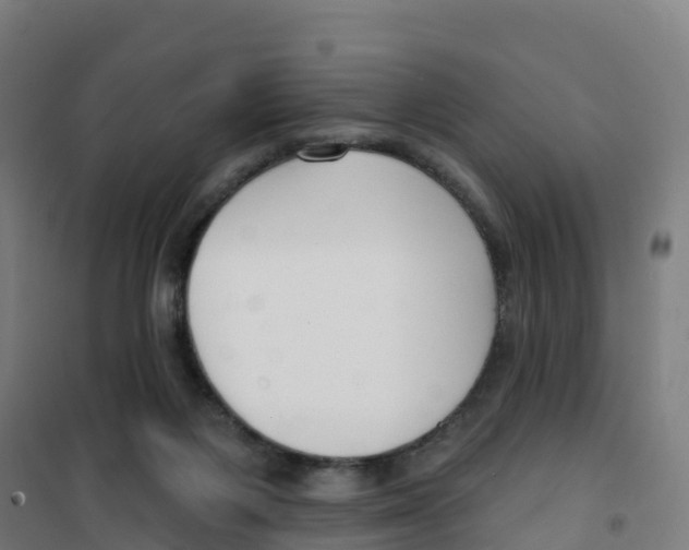 X0000100360119200807031847
