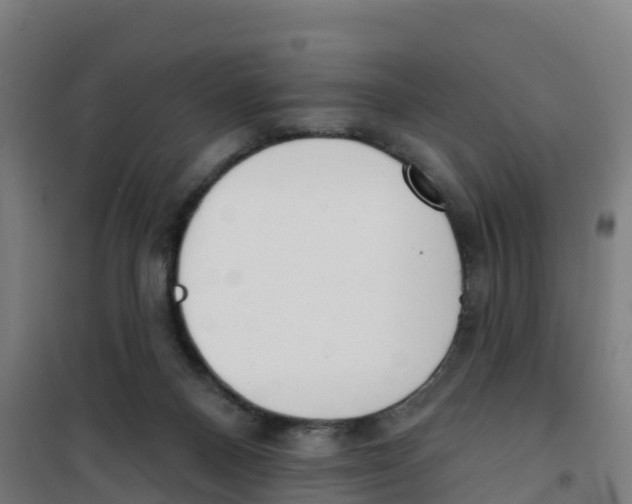 X0000100360120200807031847