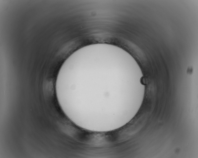 X0000100360121200807031847