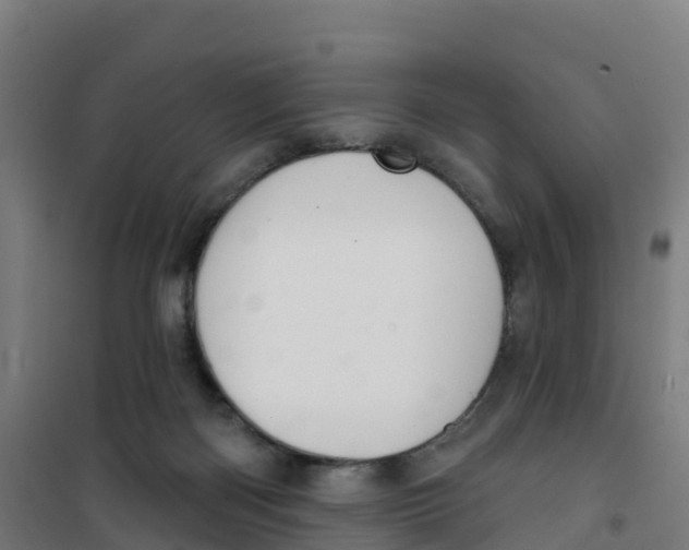 X0000100360122200807031847