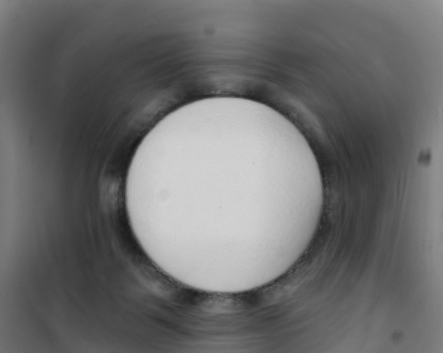X0000100360123200807031847