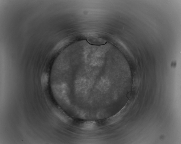 X0000100360124200807031847