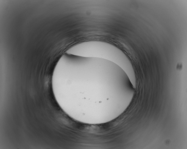 X0000100360125200807031847