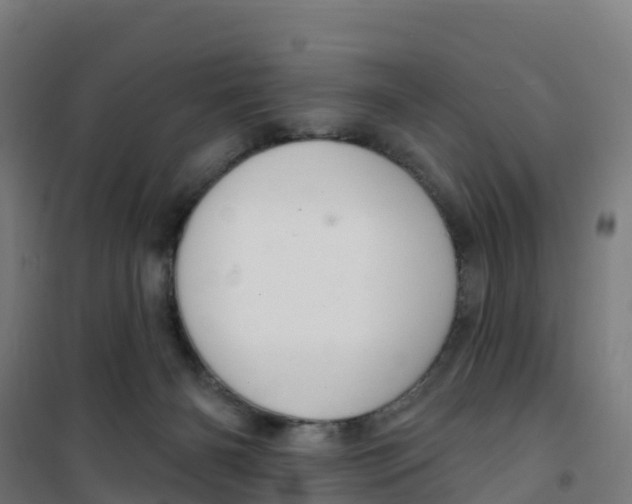 X0000100360126200807031847