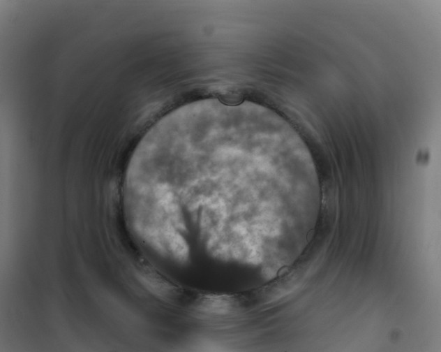 X0000100360127200807031847