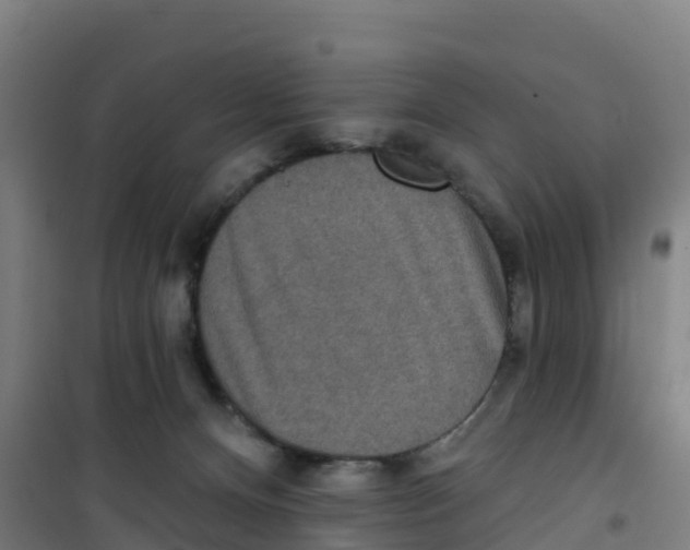 X0000100360128200807031847