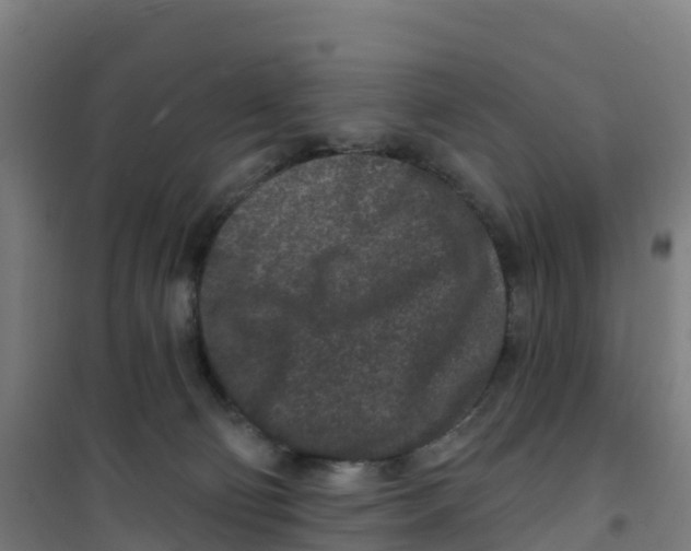 X0000100360130200807031847