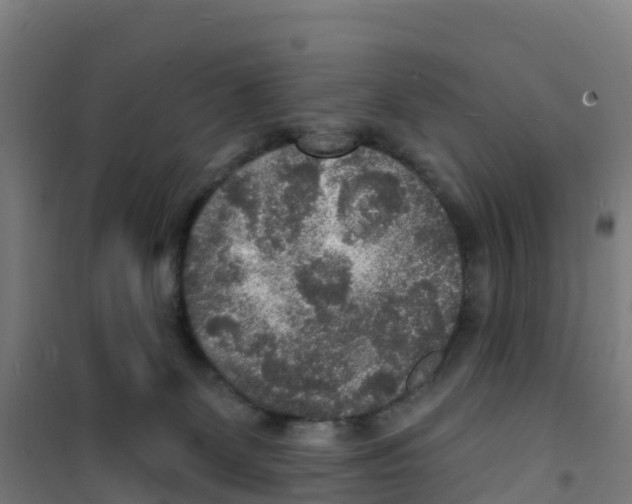 X0000100360131200807031847