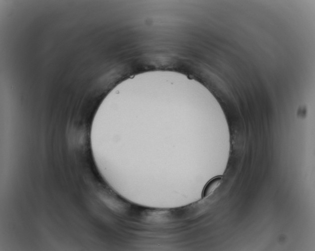X0000100360132200807031847