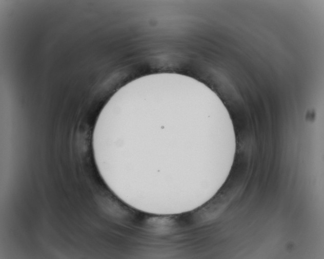 X0000100360133200807031847