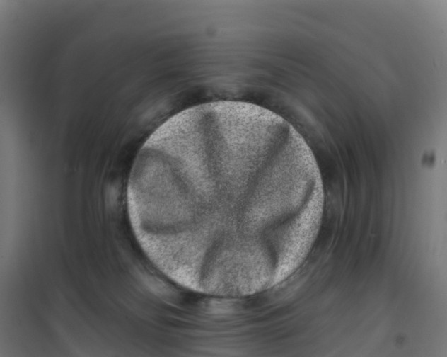 X0000100360134200807031847