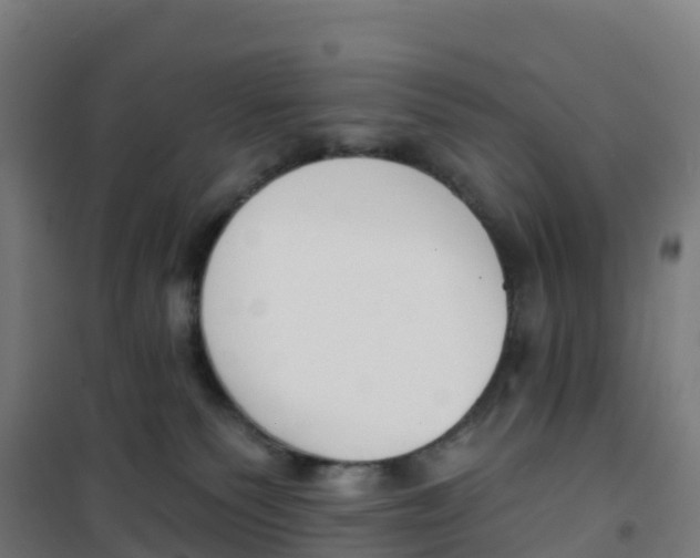 X0000100360135200807031847