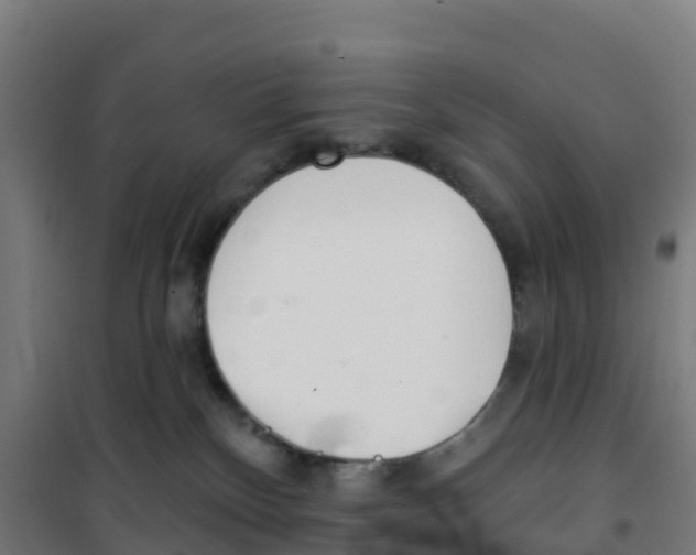 X0000100360136200807031847