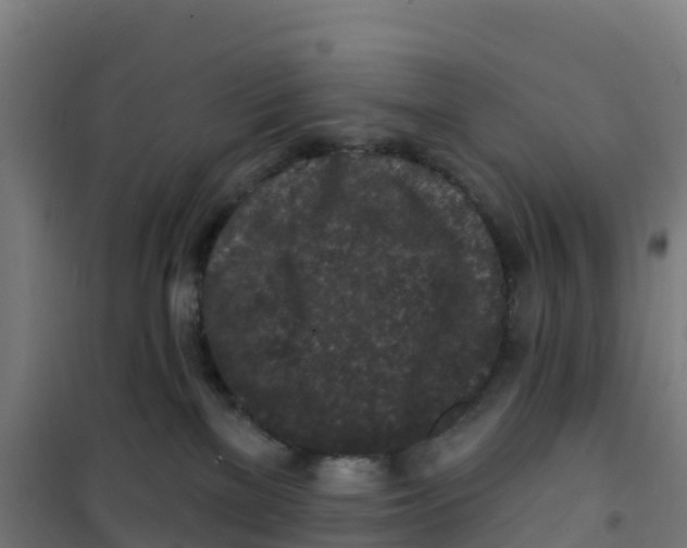 X0000100360137200807031847