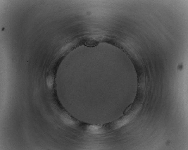 X0000100360139200807031847