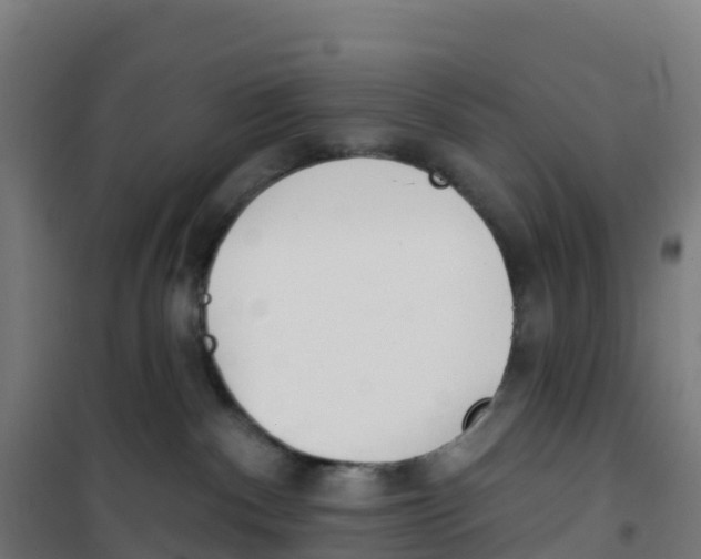 X0000100360140200807031847