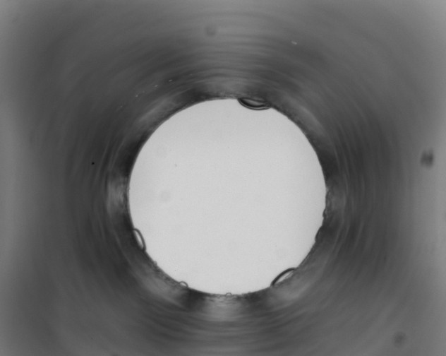 X0000100360141200807031847