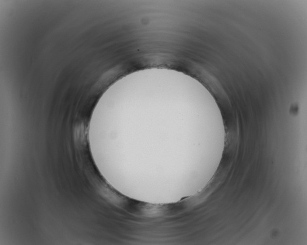 X0000100360142200807031847