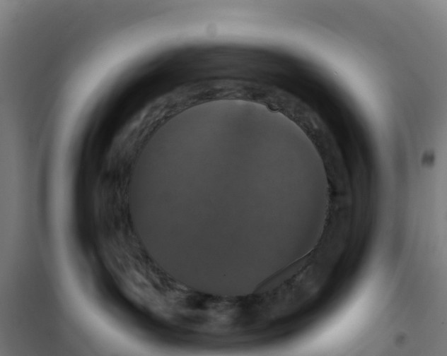 X0000100360143200807031847