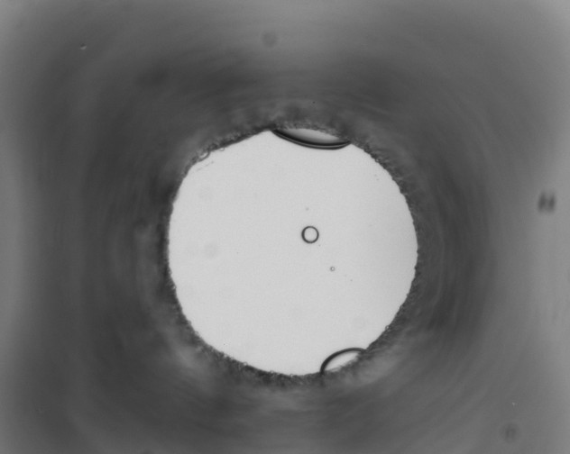 X0000100360144200807031847