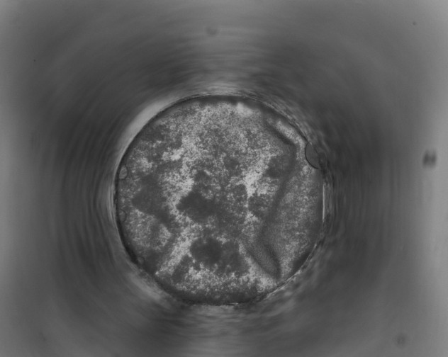X0000100360147200807031846