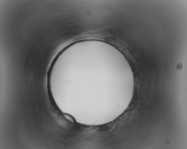 X0000100360148200807031846