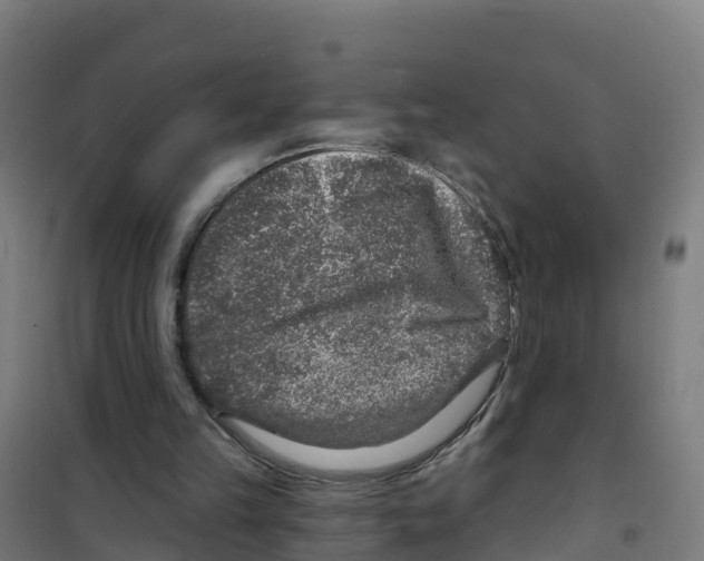 X0000100360149200807031846