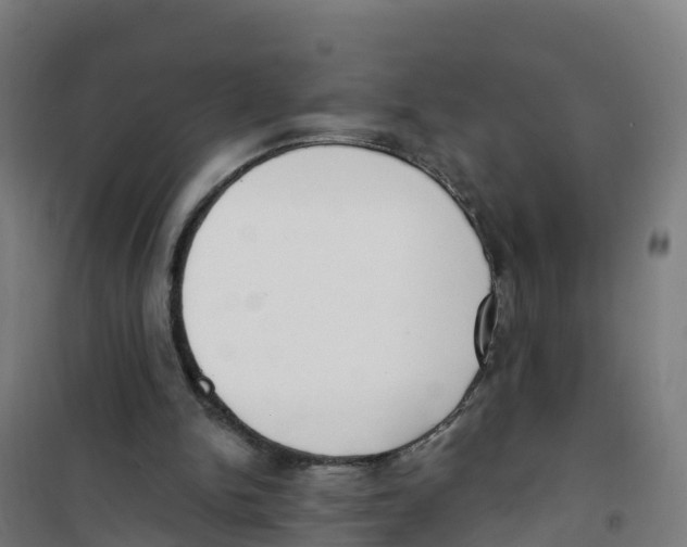 X0000100360150200807031846