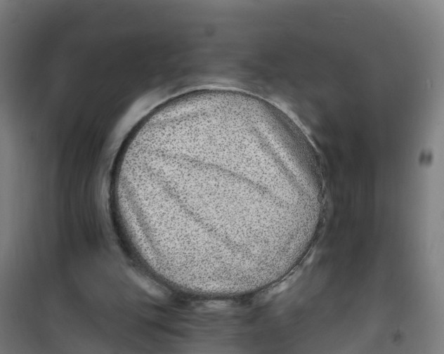 X0000100360151200807031846