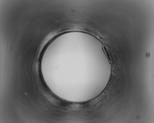 X0000100360152200807031846