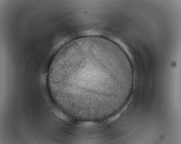 X0000100360153200807031846