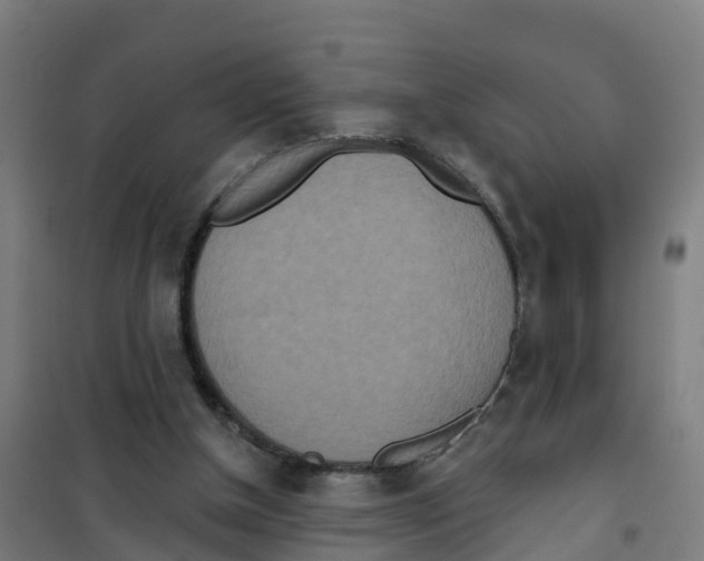 X0000100360154200807031846