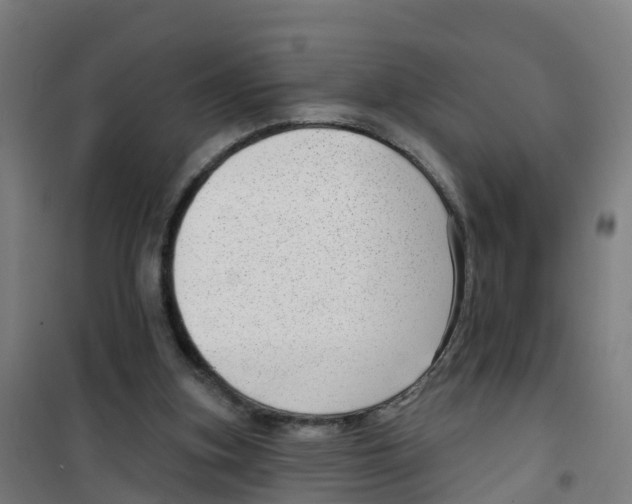 X0000100360155200807031846