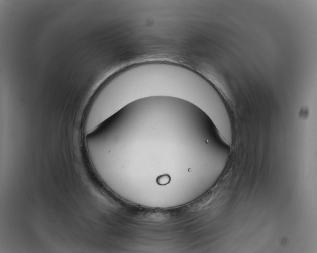 X0000100360156200807031846