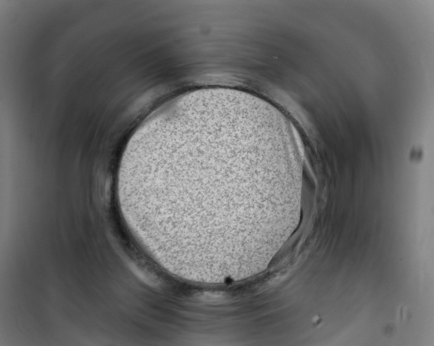 X0000100360157200807031846