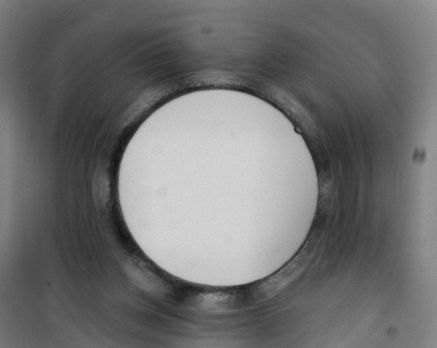 X0000100360158200807031846