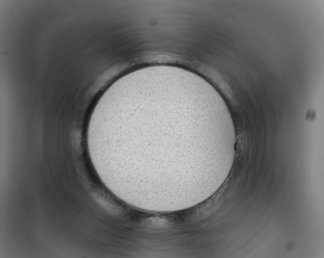 X0000100360159200807031846