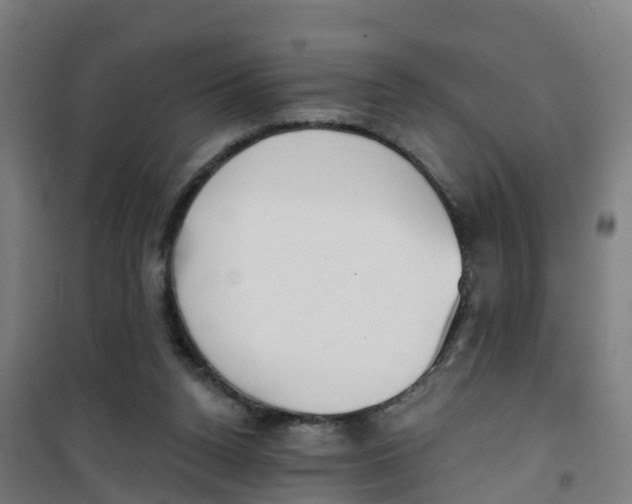 X0000100360160200807031846