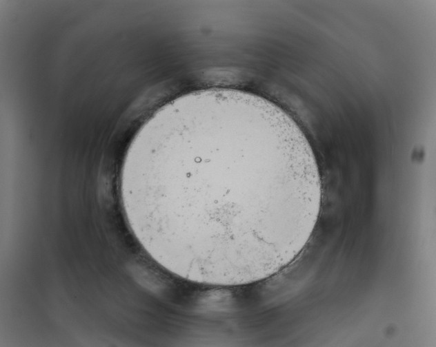 X0000100360162200807031846