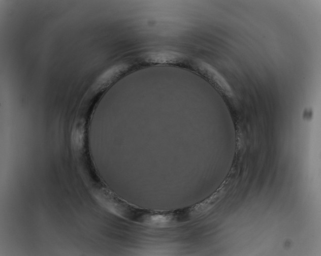 X0000100360163200807031846