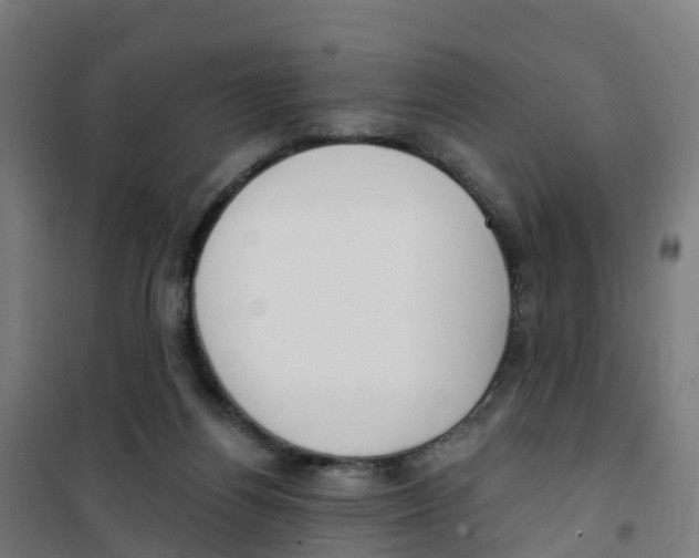 X0000100360164200807031846