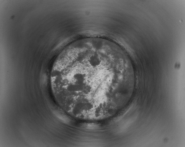 X0000100360165200807031846
